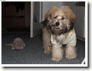 Sundej to ze m nebo...