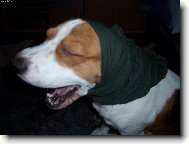 Babi�ko ty m� ale velk� zuby