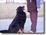 Achil z Opatovick�ch luk