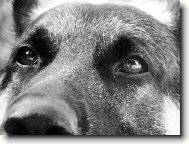 Pohled mluv�c� za v�e