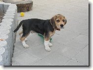 Tebe, �e m�m poslouchat???