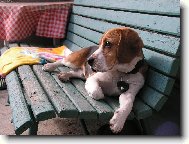 obl�ben� m�sto