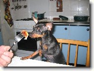 Matylda: Dobro chu...