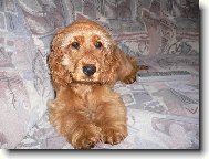 TO JE MOJE ZLATÍČKO