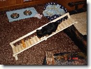 Vzh�ru do v��in