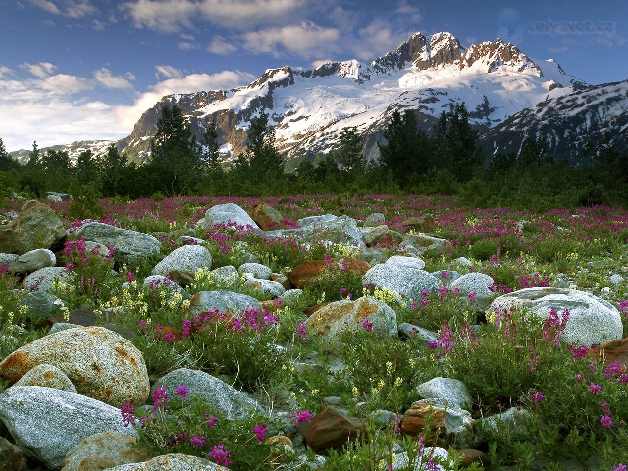 Foto: Rock Garden, Alsek River, British Columbia, Canada